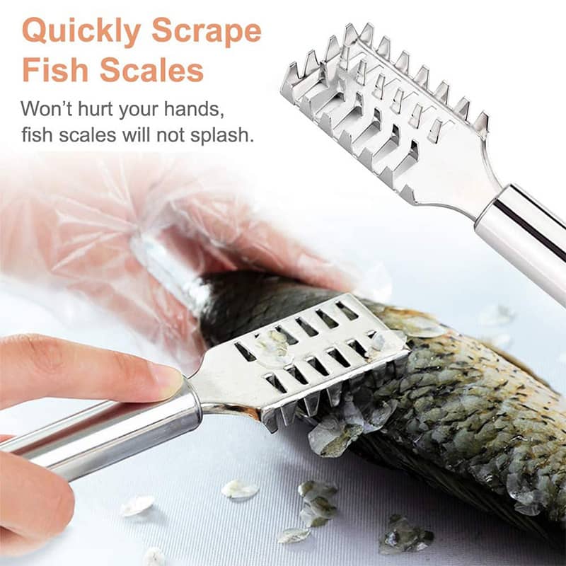 Stainless Steel Scale Scraper（50% OFF）-3